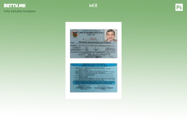 Модерен стил Шаблон за картички за односи со граѓаните на Филипините